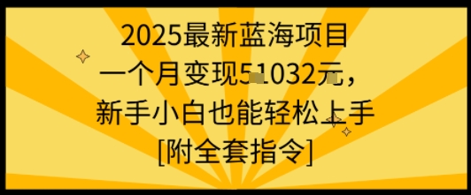 2025最新蓝海项目一个月变现1w+新手小白也能轻松上手【附全套指令】-皓哥创业笔记