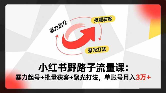 （16513期）小红书野路子流量课：暴力起号+批量获客+聚光打法，单账号月入3万+-皓哥创业笔记