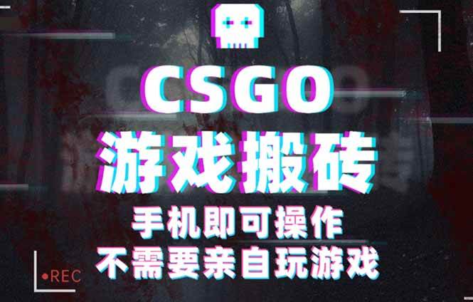 （16090期）CSGO游戏挂机捡漏，单日扫货500+，年底小高峰上车可吃肉，手机即可操作…-皓哥创业笔记