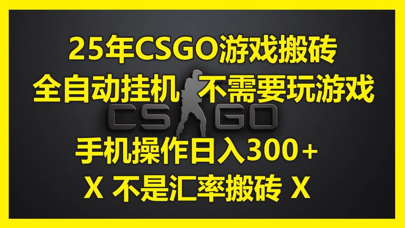 （14902期）25年CSGO游戏搬砖，全自动挂机，不需要玩游戏，手机操作日入300+。(不…-皓哥创业笔记