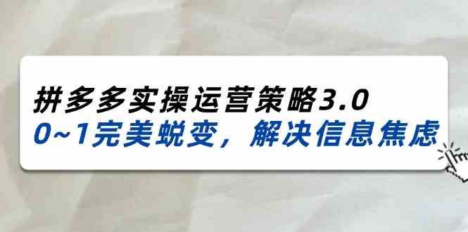 2024-2025拼多多实操运营策略3.0，0~1完美蜕变，解决信息焦虑（38节）-皓哥创业笔记